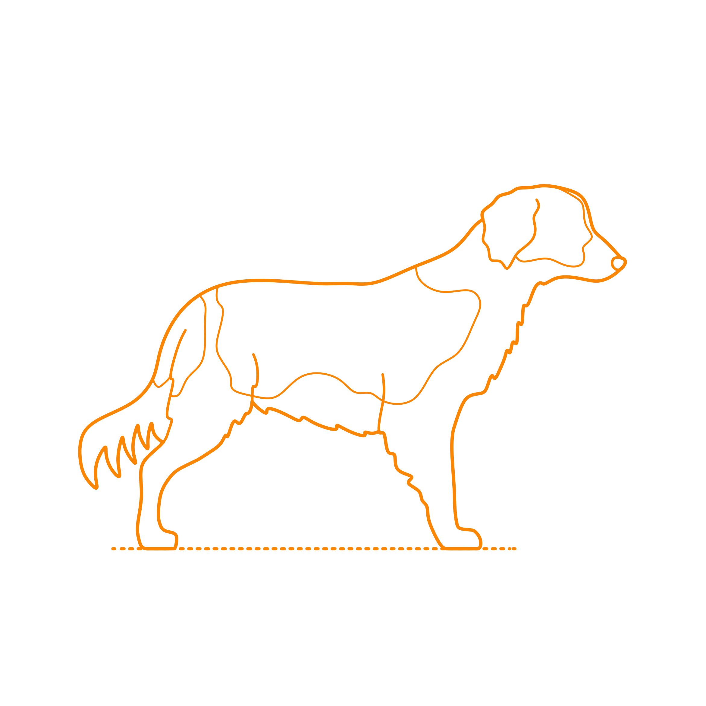 Animals Dogs Nederlandse Kooikerhondje Contour Svg Vector Free Vectors